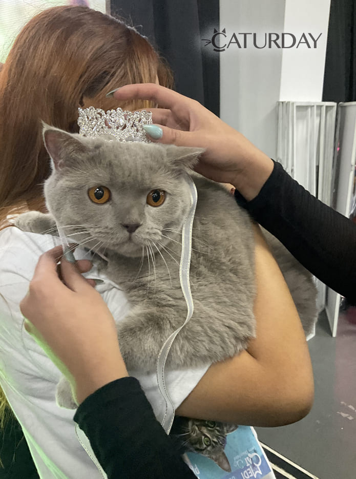 Caturday2024 3