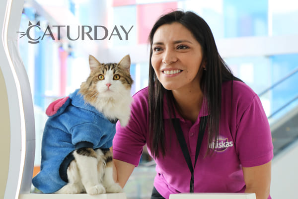 Caturday 2024 10