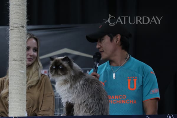 Caturday 2024 13