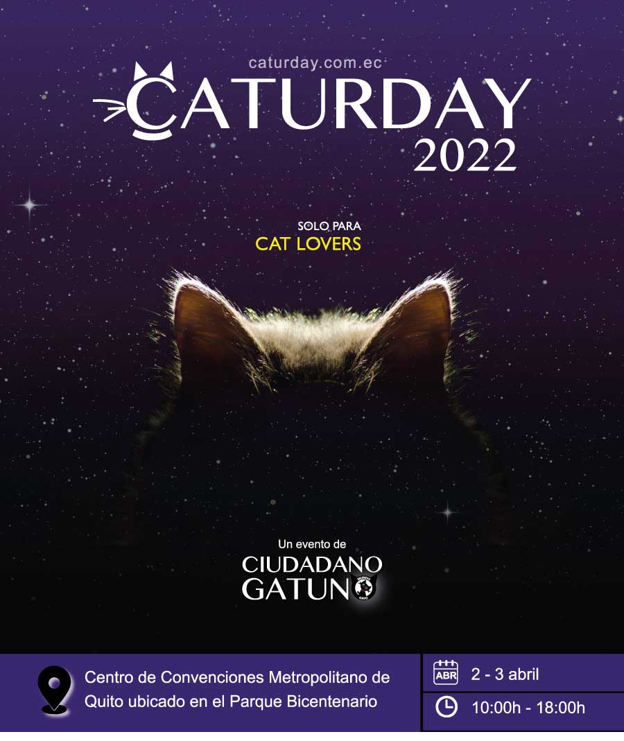 Caturday 2022