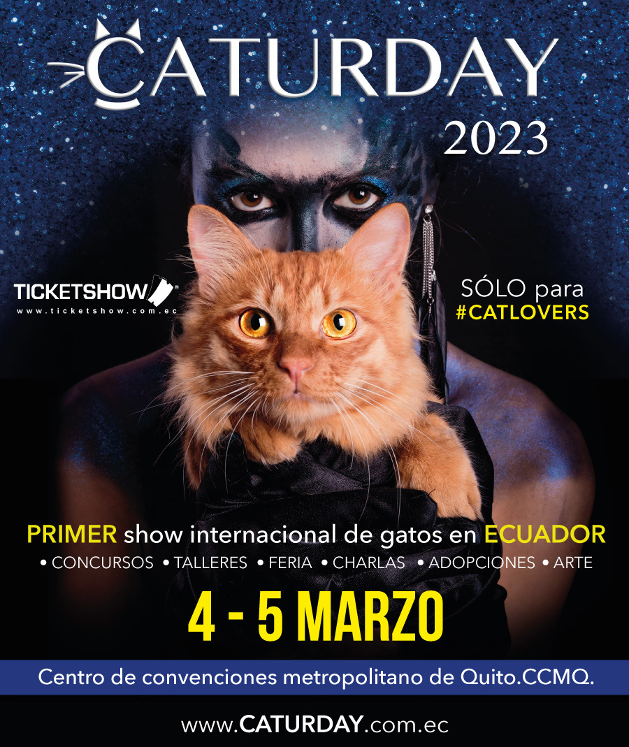 Caturday 2023