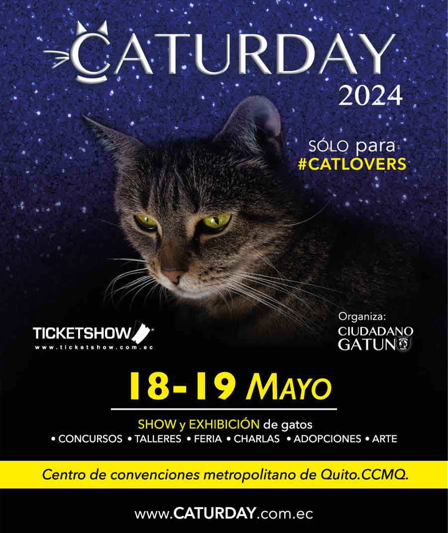 Caturday 2024
