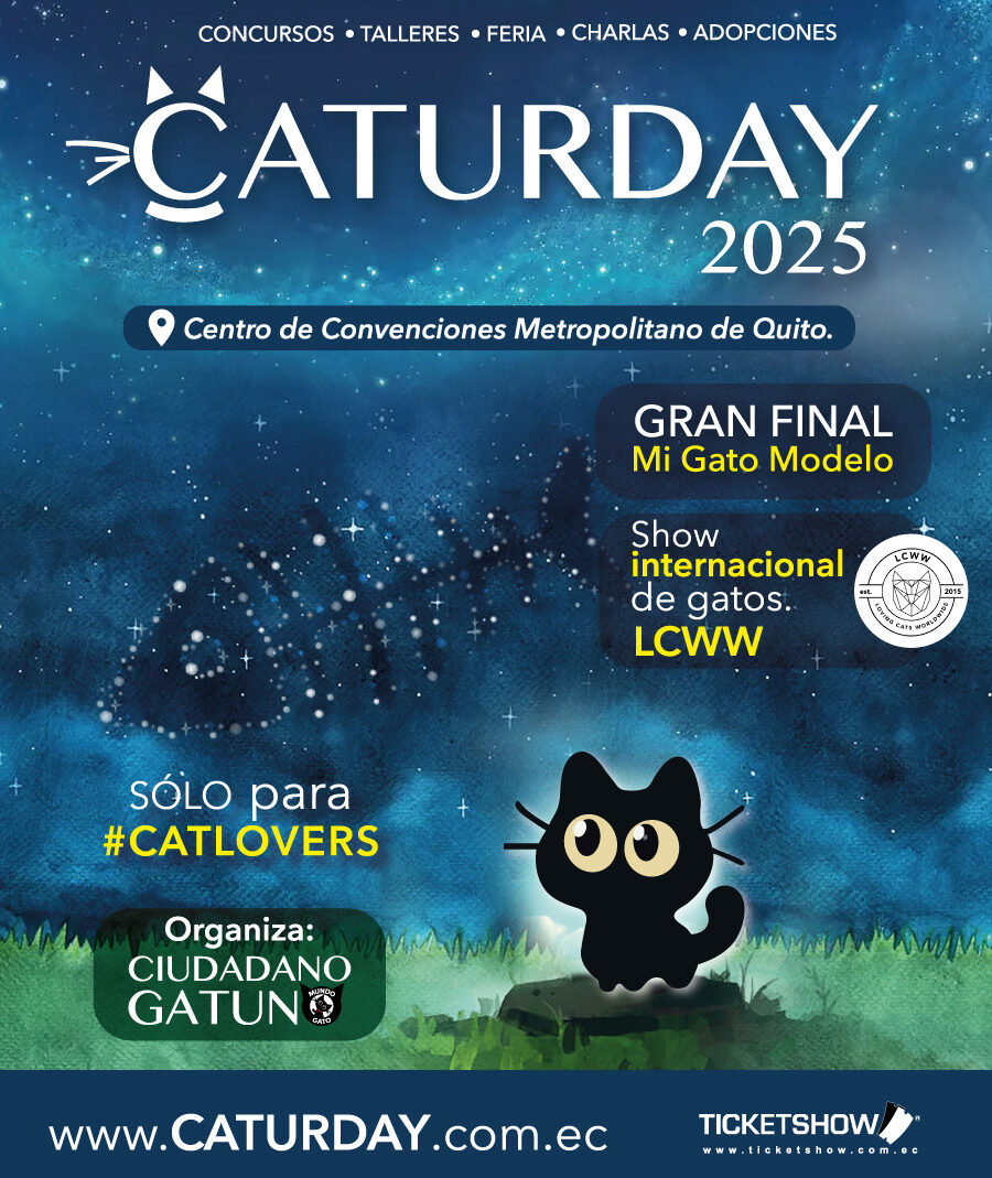 Caturday 2025