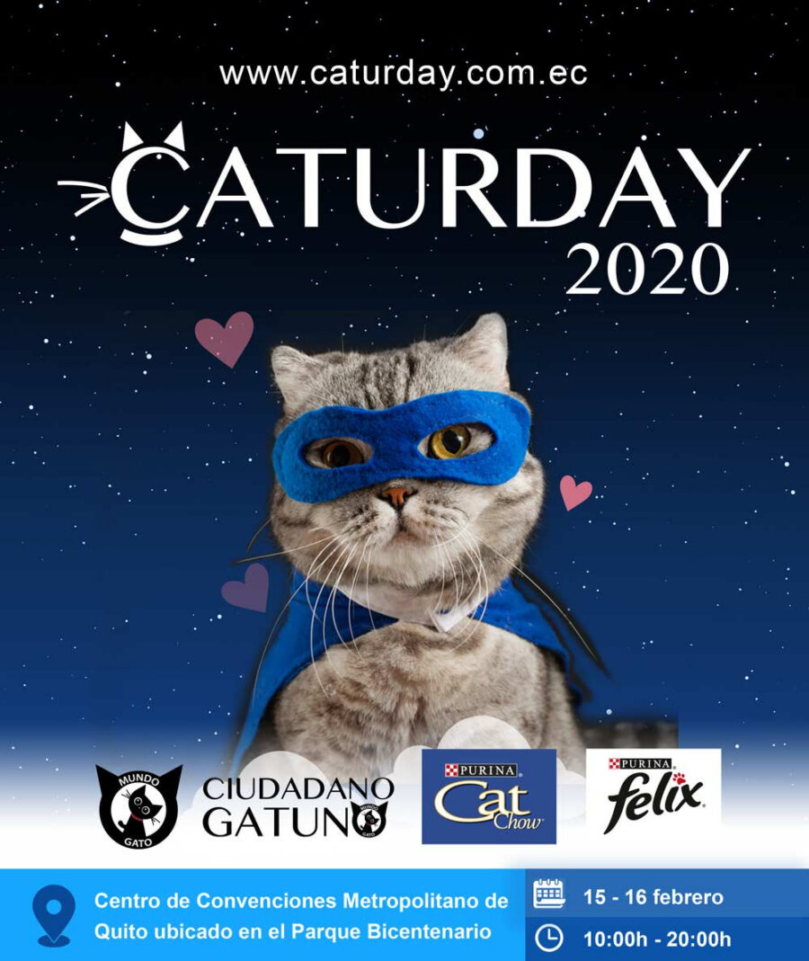 caturday 2020