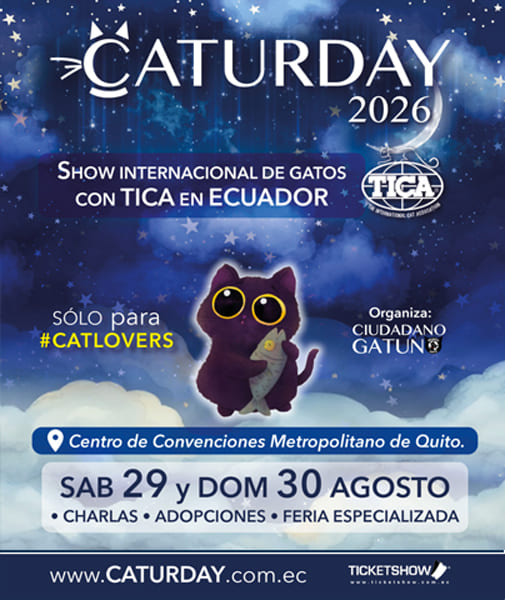 Caturday-2026